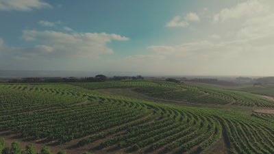 Penny's Hill Estate