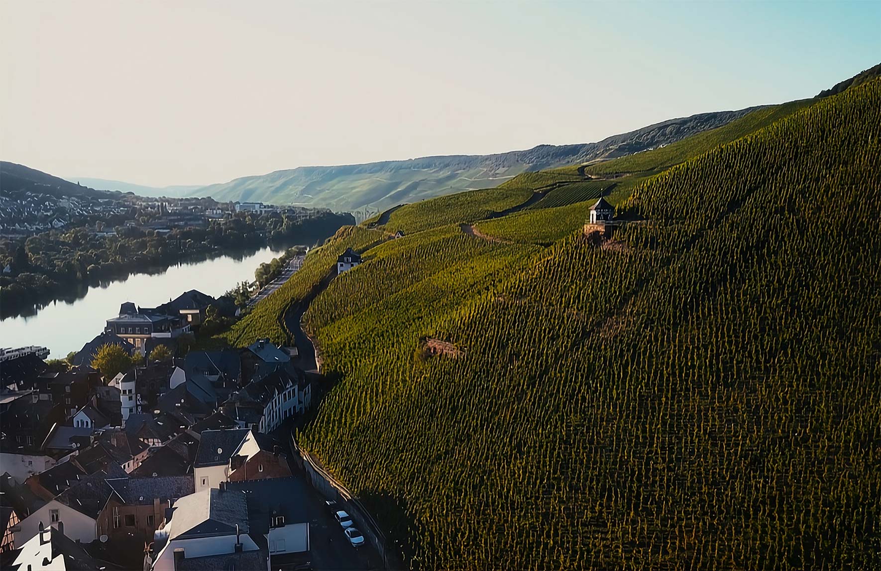 Weingut Wwe Dr H Thanisch Erben Thanisch