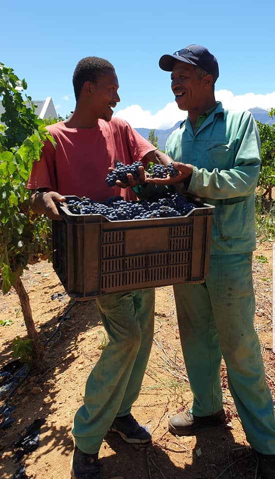 Diemersfontein Wines
