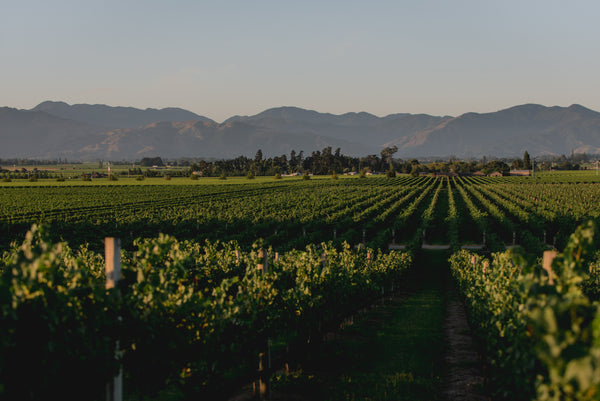 Saint Clair Family Estate