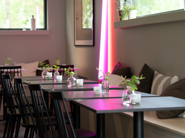 Molino Pizza & Vinbar